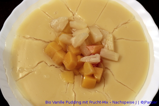 Bio Vanille Pudding mit Frucht-Mix – Nachspeise