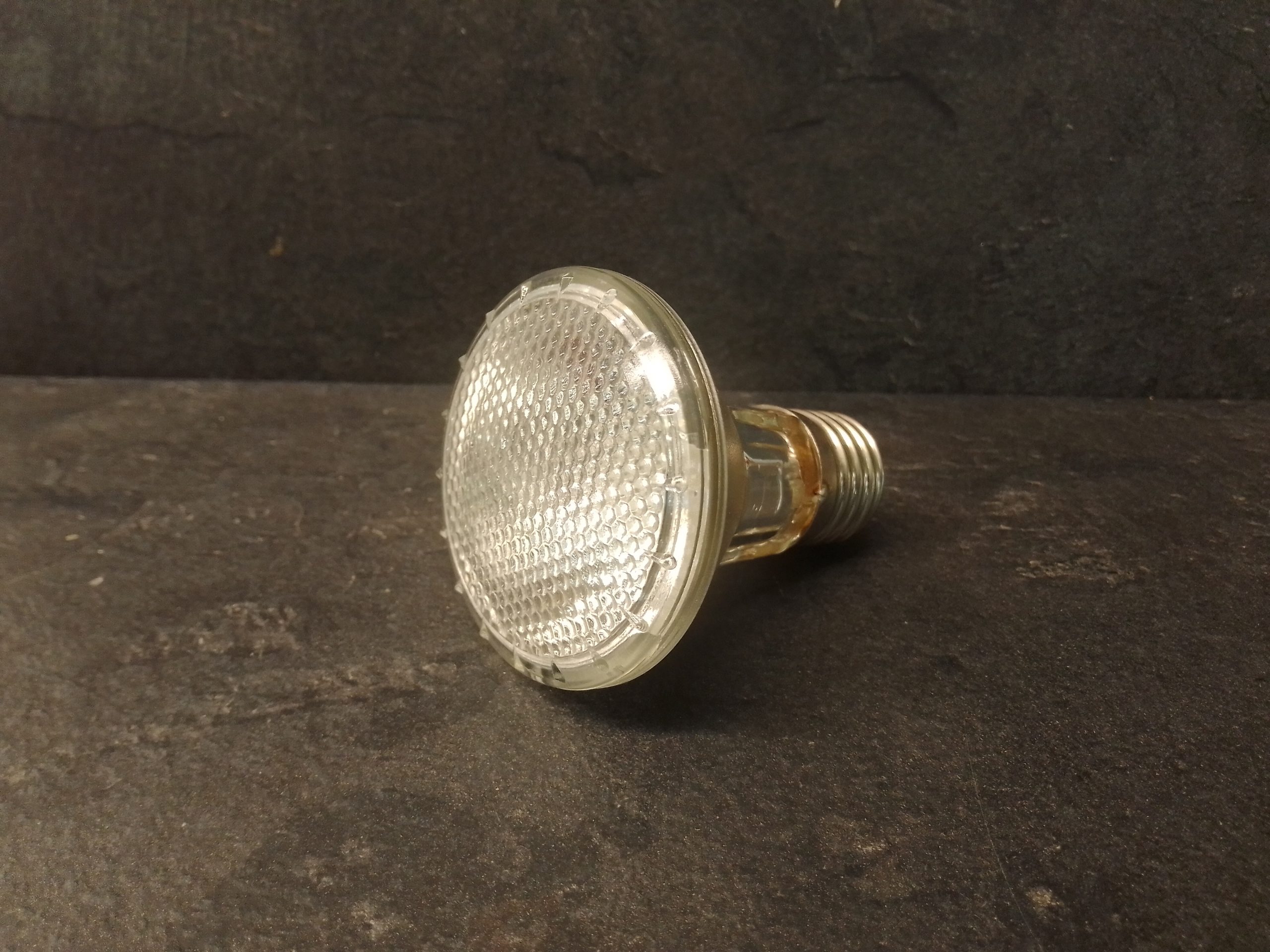 Solar Raptor Halogen Spot Lamp uromastyx.se