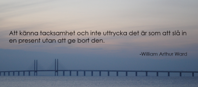 Att känna tacksamhet och inte uttrycka det är som att slå in en present utan att ge bort den. -William Arthur Ward