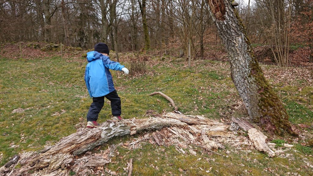 test av skalkläder från Jack Wolfskin