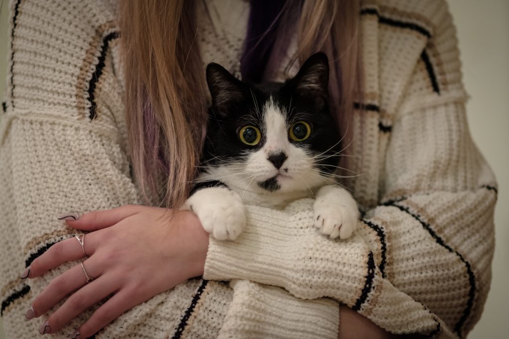 woman in pink shirt holding black long fur kitten