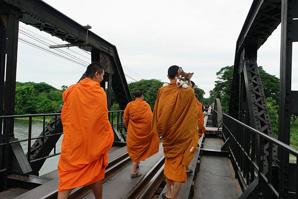 Chiang Dao