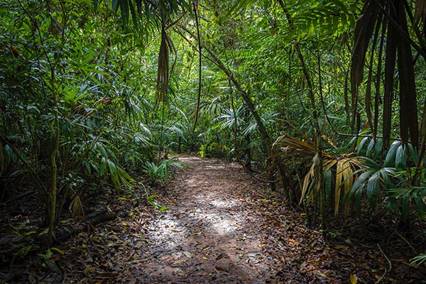 trekking a Chiang Mai