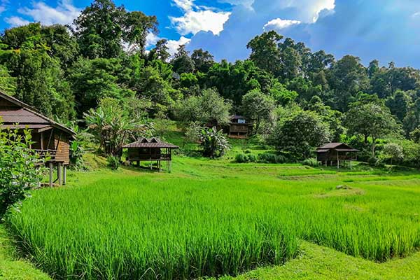 trekking a Chiang Mai