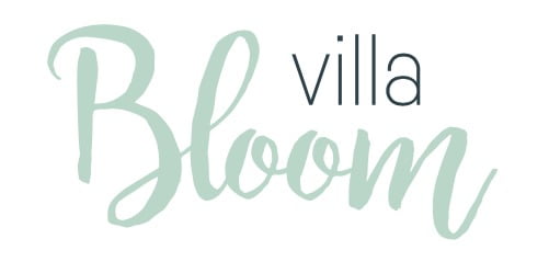 Logo Villa Bloom2 1