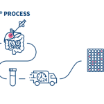 2cureX inditreat process