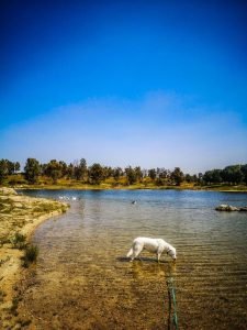 Roadtrip Spanien - Proserpina