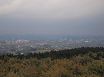 Image Thumbnail