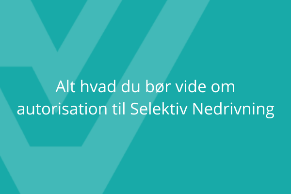 Alt du bør vide om autorisation til selektiv nedrivning