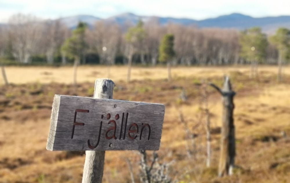rastplats vålådalen