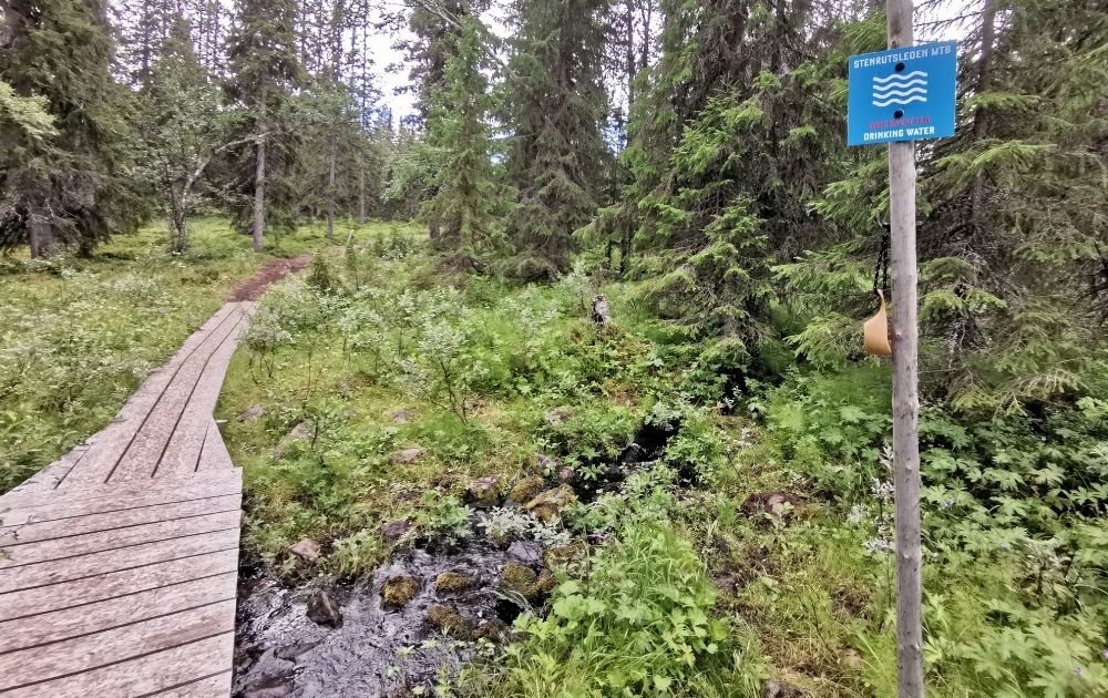 fjällvatten lofsdalen