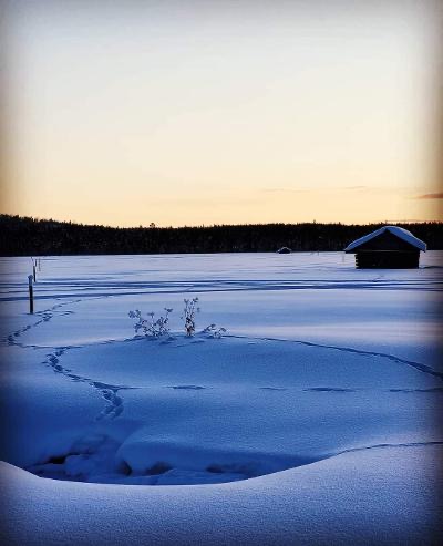 Vinter!