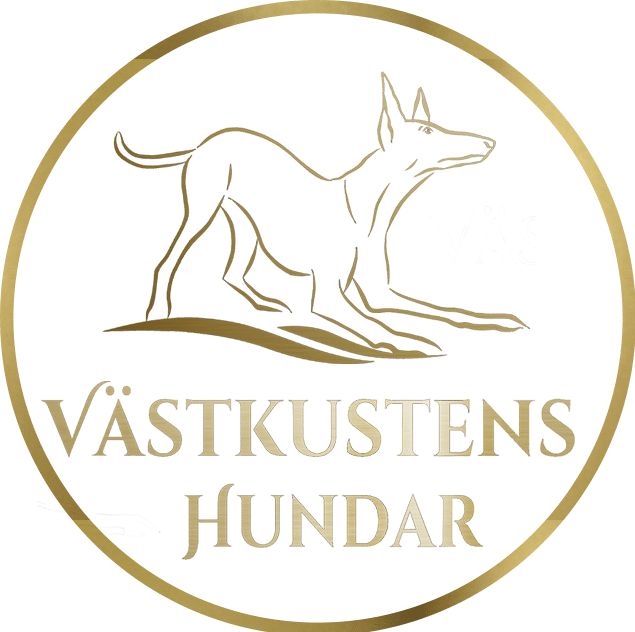 VÄSTKUSTENS HUNDAR