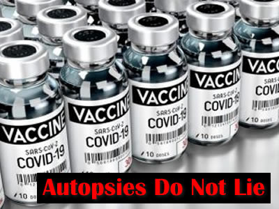 Vaccine-autopsies