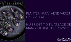 Veganer.nu-plantebaseret gourmet