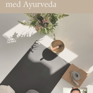 guide til ayurveda