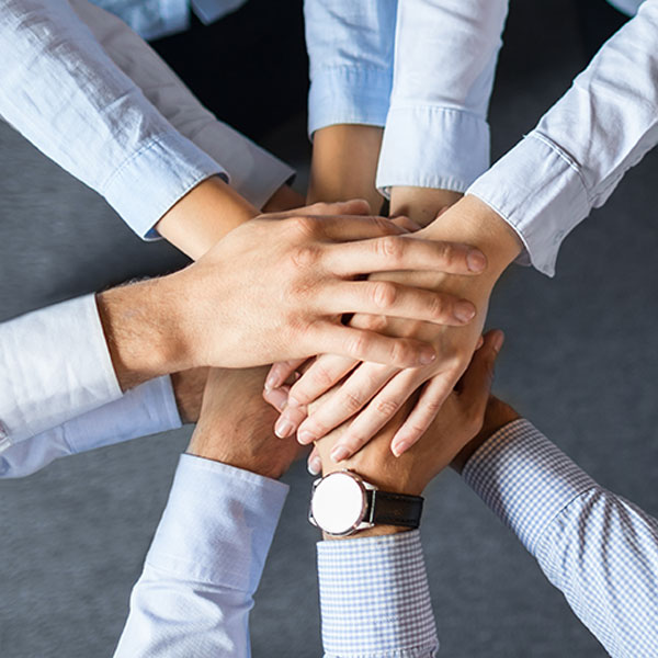 venbriss_partnership