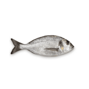 DORADE SEABREAM NV 200-400 CRT 10KG