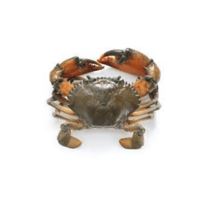 CRABE MADAGASCAR L COUPE 12X1KG