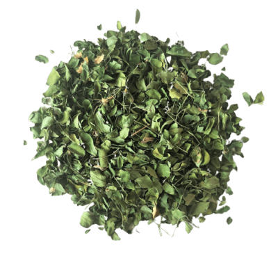 MORINGA FEUILLE