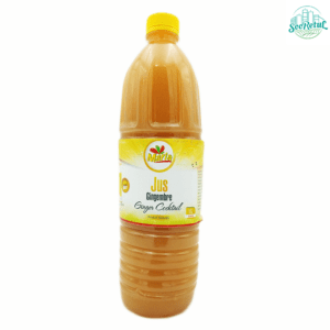 JUS DE GINGEMBRE GINGERHUM 12X200ML