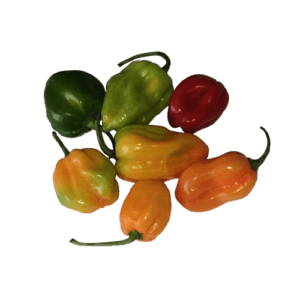 Piment antillais