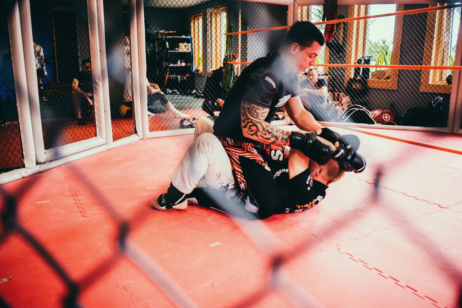 Mixed Martial Arts ist eine Mischung aus Boxen und Ringen. Kämpfe finden in vergitterten Käfigen statt. 
