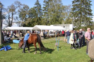 Hackvaddagen 2019