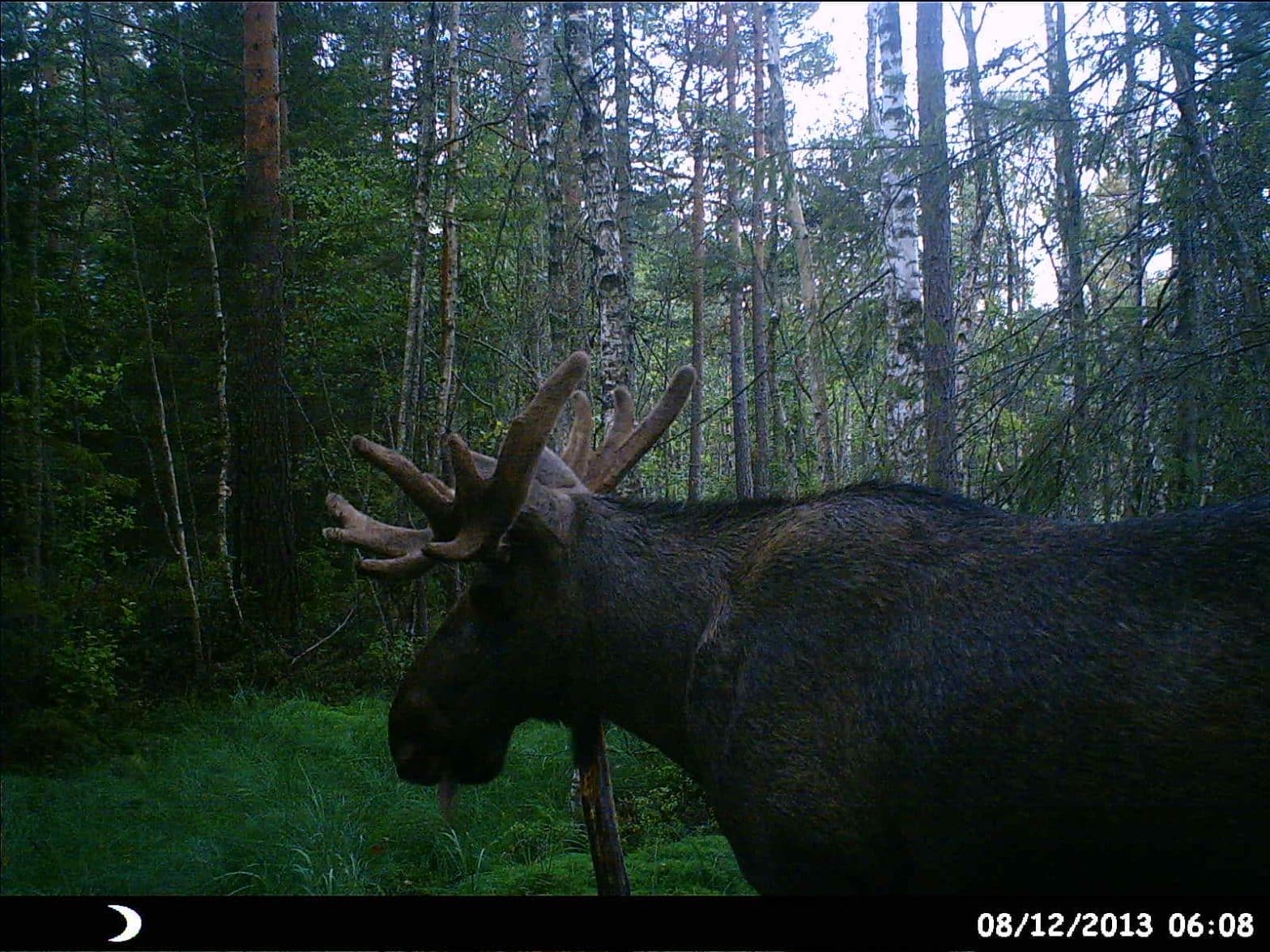 HUNT0105