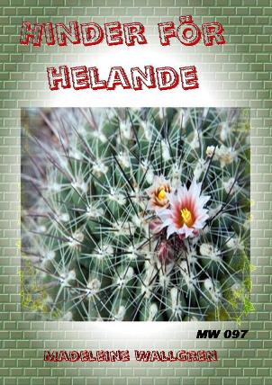 Hinder för helande 1 Hinder för helande