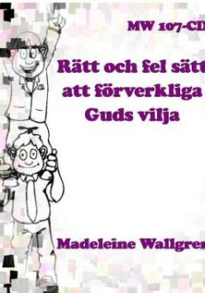 Rätt och fel sätt att förverkliga Guds vilja