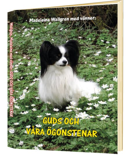 Guds och våra ögonstenar