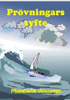MWS39 Prövningars syfte