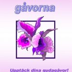 Motivationsgåvorna Upptäck dina gudagåvor | mp3-nedl