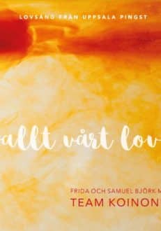 Allt vårt lov - musik-CD | Team Koinonia