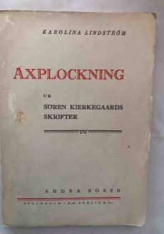 Axplockning ur Sören Kierkegaards skrifter Andra boken | Karolina Lindström