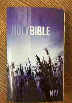 NIV Holy Bible