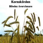 Kornskörden Bibelns övervinnare / Stephen E Jones