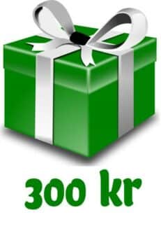 Presentkort 300 kr