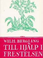 Till hjälp i frestelsen /Wilhelm Bergling