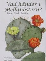 Vad händer i Mellanöstern? | Israels vänner