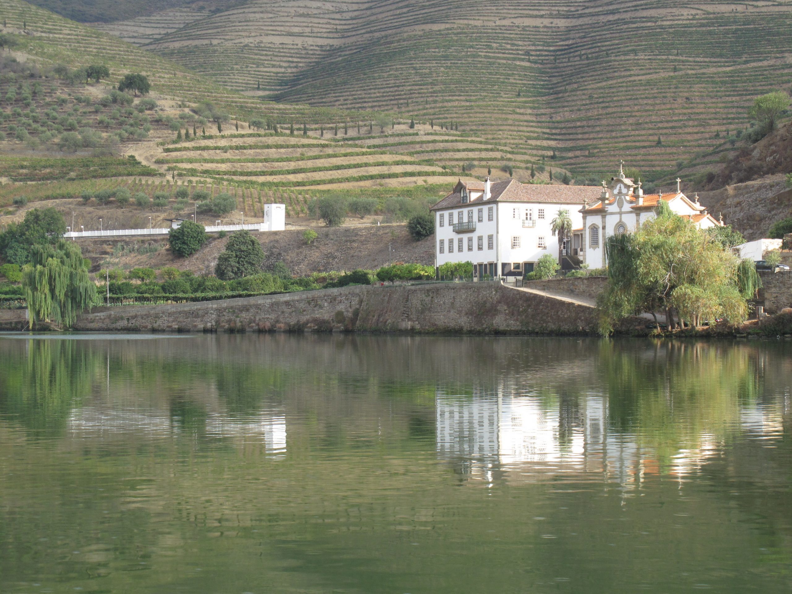 De beste vinene til julekosen kommer fra Douro-dalen