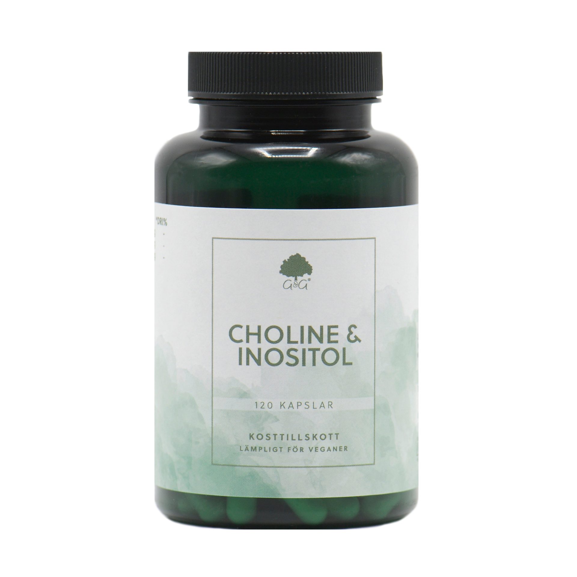 Choline & inositol 120 kapslar AB Visby Hälsokost