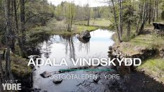 Ådala Vindskydd , Östgötaleden, Ydre | VISIT YDRE