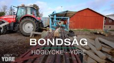 Bondsåg hos Höglycke Farming, Ydre | VISIT YDRE
