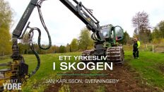 Ett yrkesliv i skogen - Ydre, Östergötland