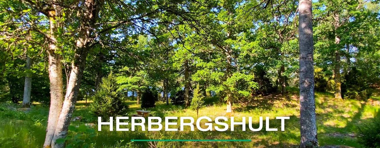 Herbergshult naturreservat, Ydre kommun | VISIT YDRE