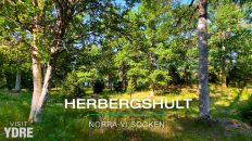 Herbergshult naturreservat, Ydre kommun | VISIT YDRE