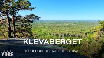 Klevaberget, Herbergshult naturreservat, Ydre kommun | VISIT YDRE