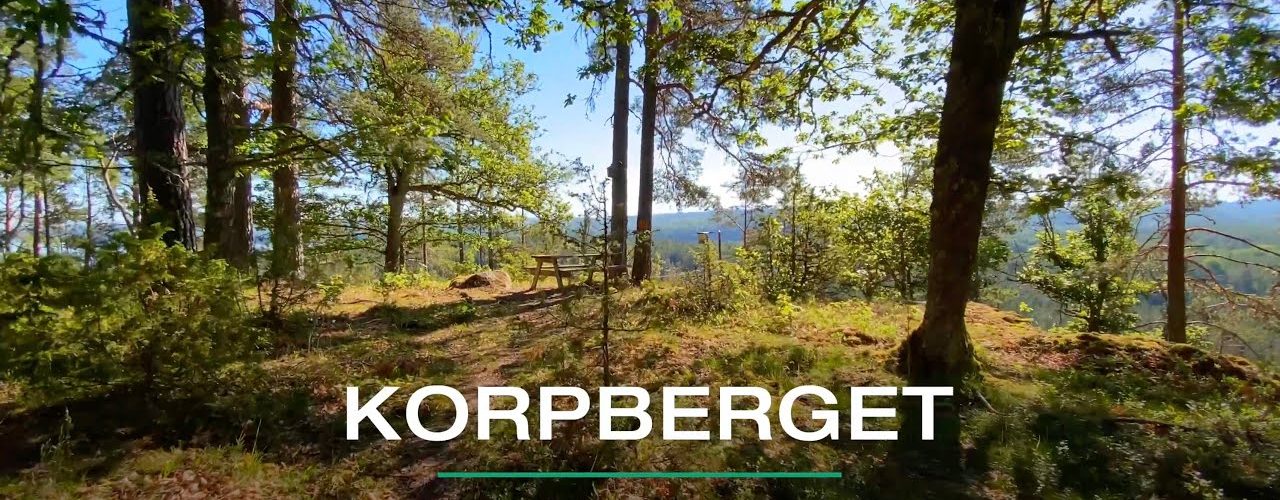 Korpberget, Norra Vi vandringsled, Östgötaleden Ydre | VISIT YDRE